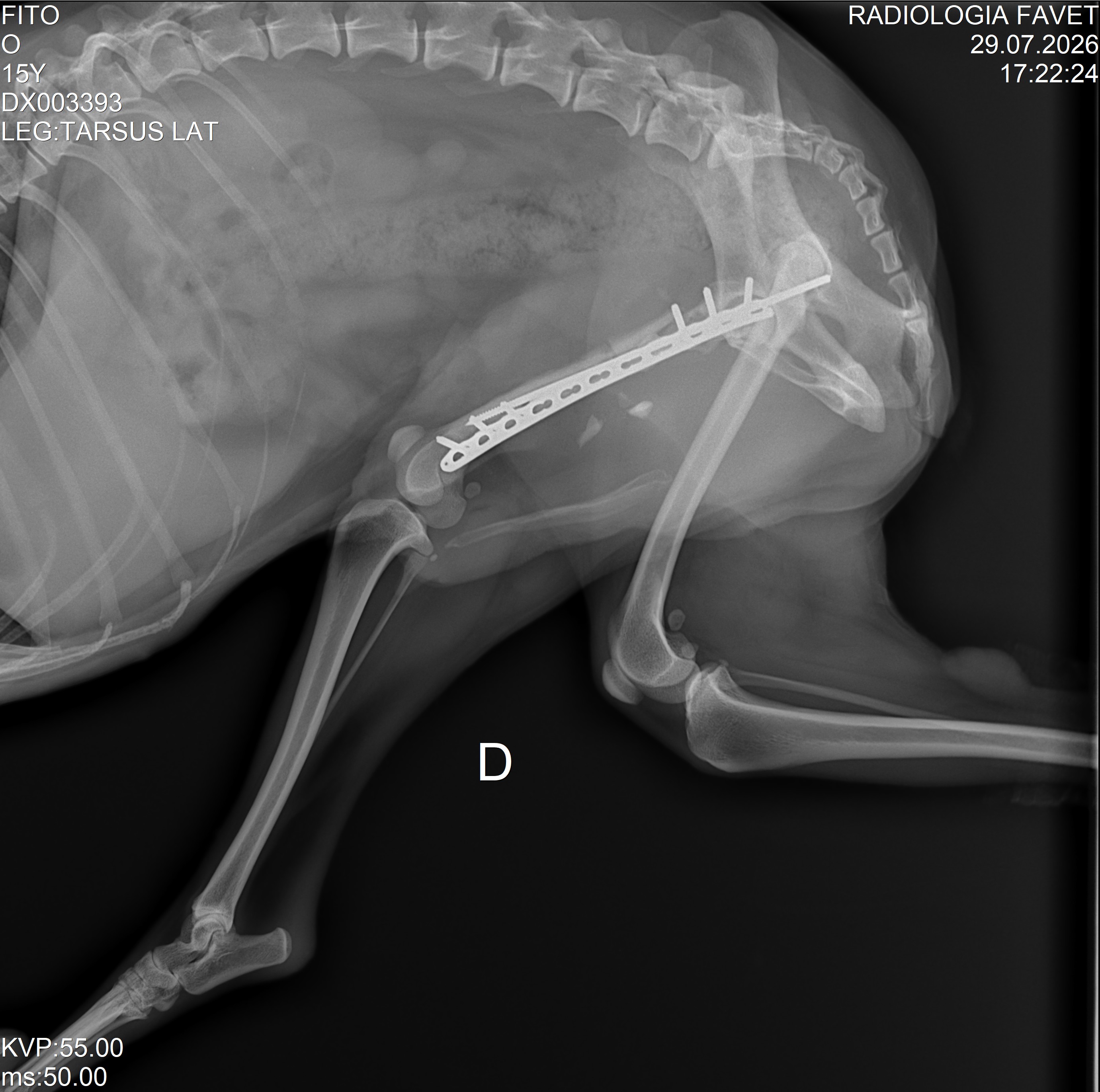 Fito Tarso Lateral